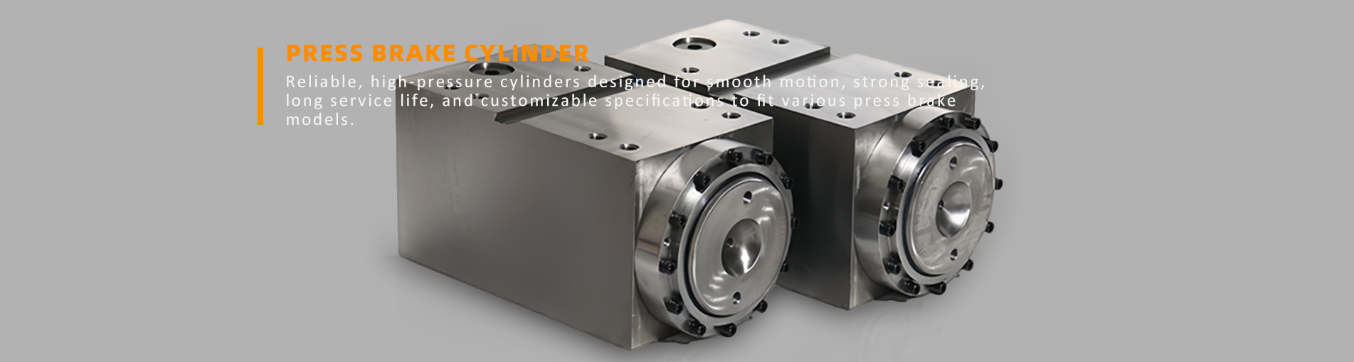Pressbremszylinder